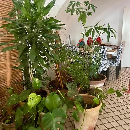 Approdo Boutique Leuca Отель