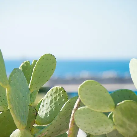 Approdo Boutique Leuca Леука