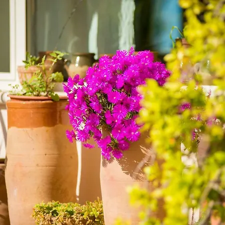 Approdo Boutique Leuca 4* Леука